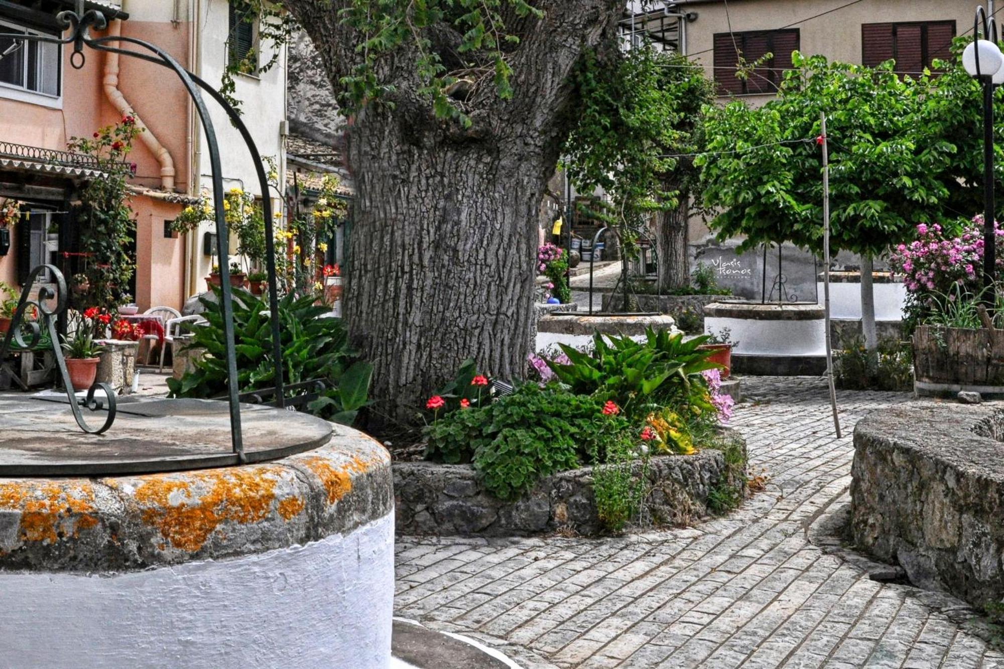 Villa Papaspiros Kouramádes エクステリア 写真
